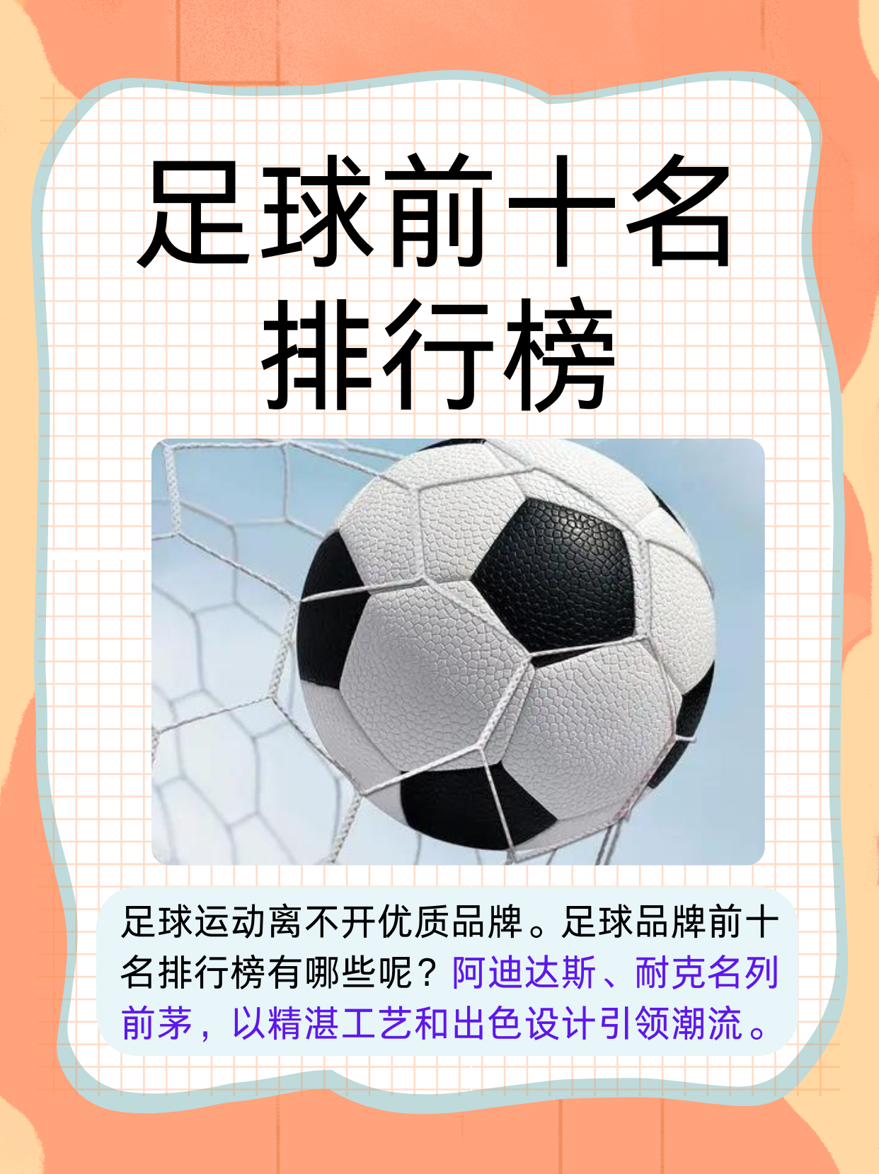 运动领域的顶尖名人的最新动向