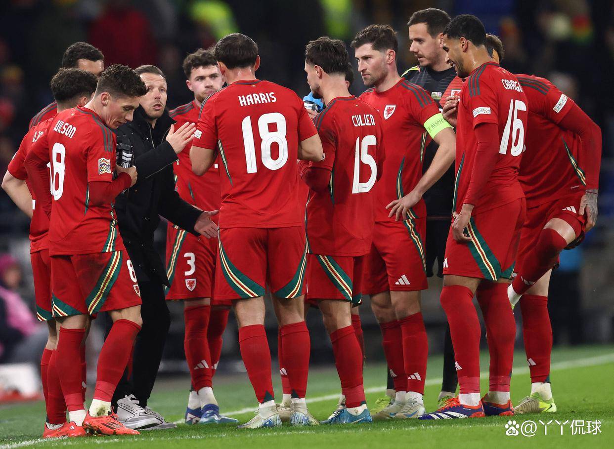 威尔士队在比赛中展现出色合作默契 威尔士队在比赛中展现出色合作默契